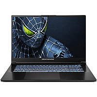 Ноутбук Dream Machines RG5050-17 (RG5050-17UA35)