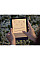 Електронна книга Amazon Kindle Paperwhite (12th Gen) Signature Edition (2024) SA569P 32GB Metallic Jade_JP