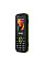 Мобiльний телефон Sigma mobile X-style 171 Mini Dual Sim Black/Green