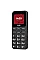 Мобiльний телефон Ergo R181 Dual Sim Black
