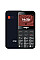 Мобiльний телефон Ergo R231 Dual Sim Black