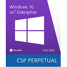 Операційна система Microsoft Windows 10 IoT Enterprise LTSC 2021 Perpetual, Commercial, OneTime (DG7GMGF0H3RD_0002)