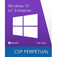 Операційна система Microsoft Windows 10 IoT Enterprise LTSC 2021 Perpetual, Commercial, OneTime (DG7GMGF0H3RD_0002) (1678313)