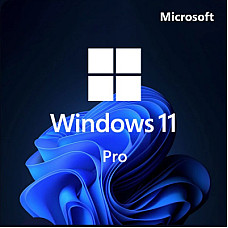 Операційна система Microsoft Win Pro 11 64-bit All Lng PK Lic Online DwnLd NR Конверт (FQC-10572-ESD