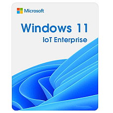 Операційна система Microsoft Windows 11 IoT Enterprise LTSC 2024 Perpetual, Commercial, OneTime (DG7