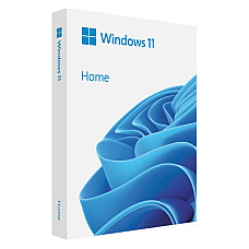 Операційна система Microsoft Windows 11 Home укр, FPP на USB носії (HAJ-00124)