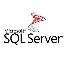 ПЗ для сервера Microsoft SQL Server 2025 Enterprise - 2 Core License Pack - 1 year Subscri (DG7GMGF0