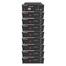 Акумуляторна батарея DYNESS HV51100-8, 40.96kW, 409.6V, 100Ah, LiFePO4, BDU100, RACK (1775377)