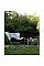 Крісло складане Bo-Camp Redbridge L Beige (1200341)
