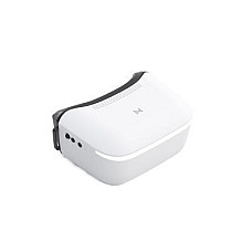 Окуляри FPV CADDXFPV Walksnail Avatar HD Goggles L (WN02-FP004)