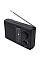 Портативний радіоприймач N'oveen PR450 Black (RL070857)