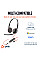 Навушники Poly BlackWire C3225 USB-C HS Stereo +3.5mm Plug +USB-C/A Adapter (Bulk) Black (8X229A6)
