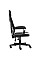 Крісло для геймерів 1stPlayer P01 Black-White