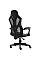 Крісло для геймерів 1stPlayer P01 Black-White