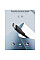 Дата кабель USB 2.0 AM to USB-C 1.0m US287 Black Ugreen (60116)