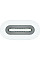 Адаптер Apple USB-C to Apple Pencil Adapter (MWML3ZM/A)