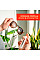 Спрей для очищення Whoosh! Screen Shine GO 30ml, microfiber 14x14cm (1FG30ENFR)