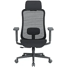 Крісло офісне Officepro Wave OC670-B-B-B Black