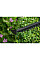 Кущоріз Bosch EasyHedgeCut 45 (0.600.847.A05)