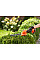 Кущоріз Black&Decker 18 В, 2Ah, насадки- 20 см/8 мм, 10 см/18 мм, (BCSS18D1)