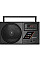 Портативний радіоприймач REAL-EL X-700