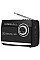 Портативний радіоприймач REAL-EL X-510 Black