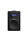 Радіоприймач Sharp DR-430 Black (DR-430(BK))