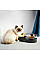 Миска Petkit Fresh Nano-Metal Pet/Cat Two Bowl Stand (P5201)