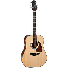 Гітара акустична Takamine GD10 NS (226785)