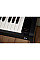 Цифрове піаніно Casio AP-550BK (363166)