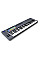 MIDI-клавіатура Novation FLkey 61 (234475)