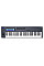 MIDI-клавіатура Novation FLkey 61 (234475)