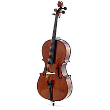 Віолончель Stentor Student I Cello Outfit 1/2 (1102E2)