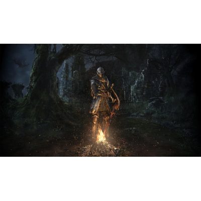 Гра Nintendo Dark Souls Remastered, картридж (045496421892)