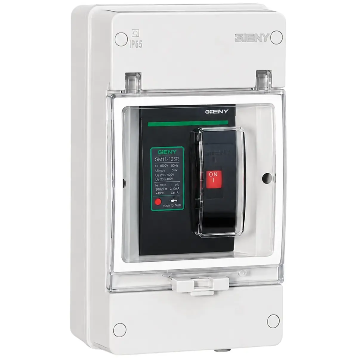 Автоматичний вимикач BENY BDM-125 DC 2P 500В 125А у корпусі IP65 (BDM-125-2P500V125AIP65)