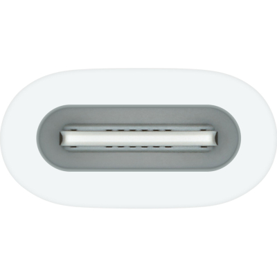 Адаптер Apple USB-C to Apple Pencil Adapter (MWML3ZM/A)