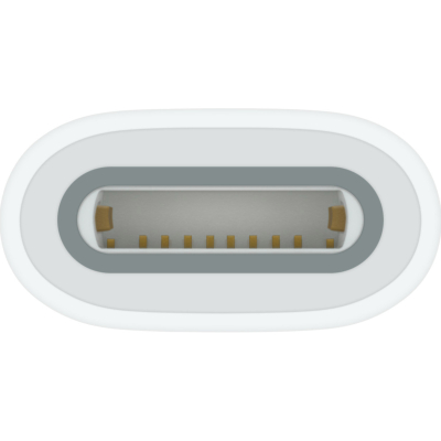 Адаптер Apple USB-C to Apple Pencil Adapter (MWML3ZM/A)