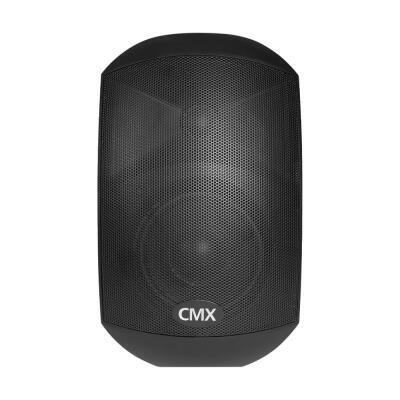 Гучномовець CMX WSK-420DS