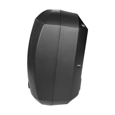 Гучномовець CMX WSK-420DS