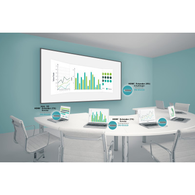 Адаптер Digitus Click Present Mini - Wireless Collaboration System HDMI, 1xTX, 1xRX (DS-55319) (1622762)