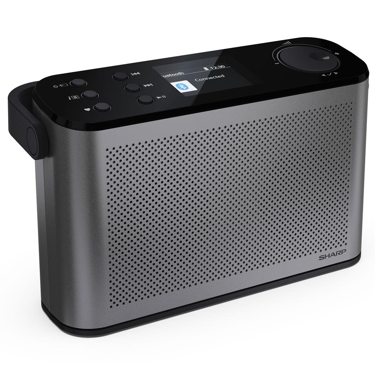 Радіоприймач Sharp DR-P540 Grey (DR-P540(GY))