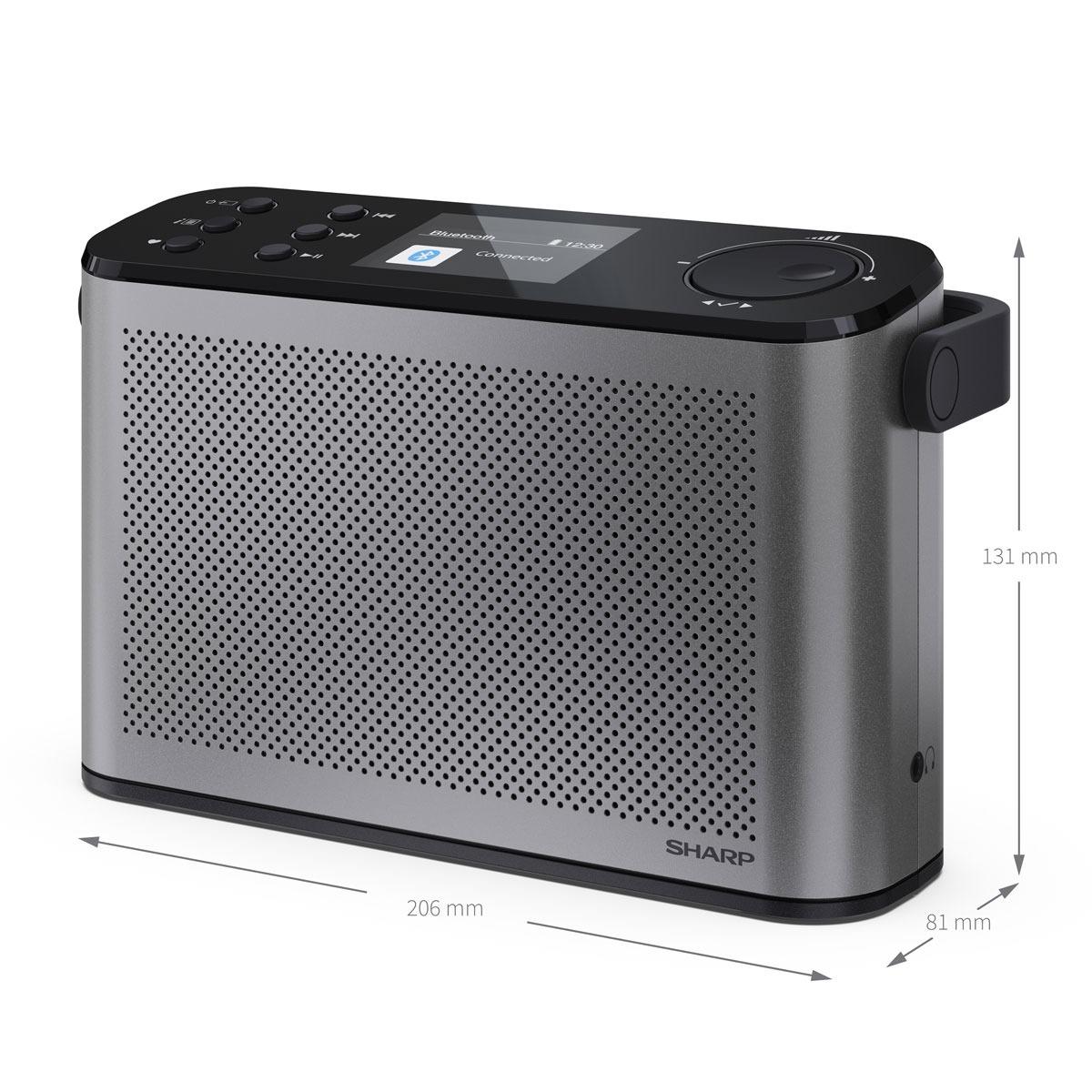 Радіоприймач Sharp DR-P540 Grey (DR-P540(GY))