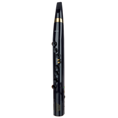 Блокфлейта Mooer Wi100 Black